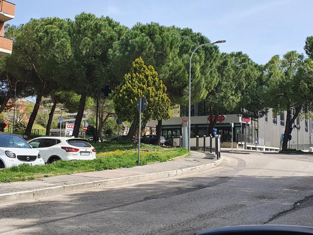 Charming Apartment Tilli With Parking بيرودجا المظهر الخارجي الصورة